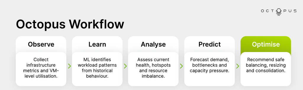 Octopus connects historical workload analysis with capacity forecasts and recommendations for balancing, resizing and consolidation